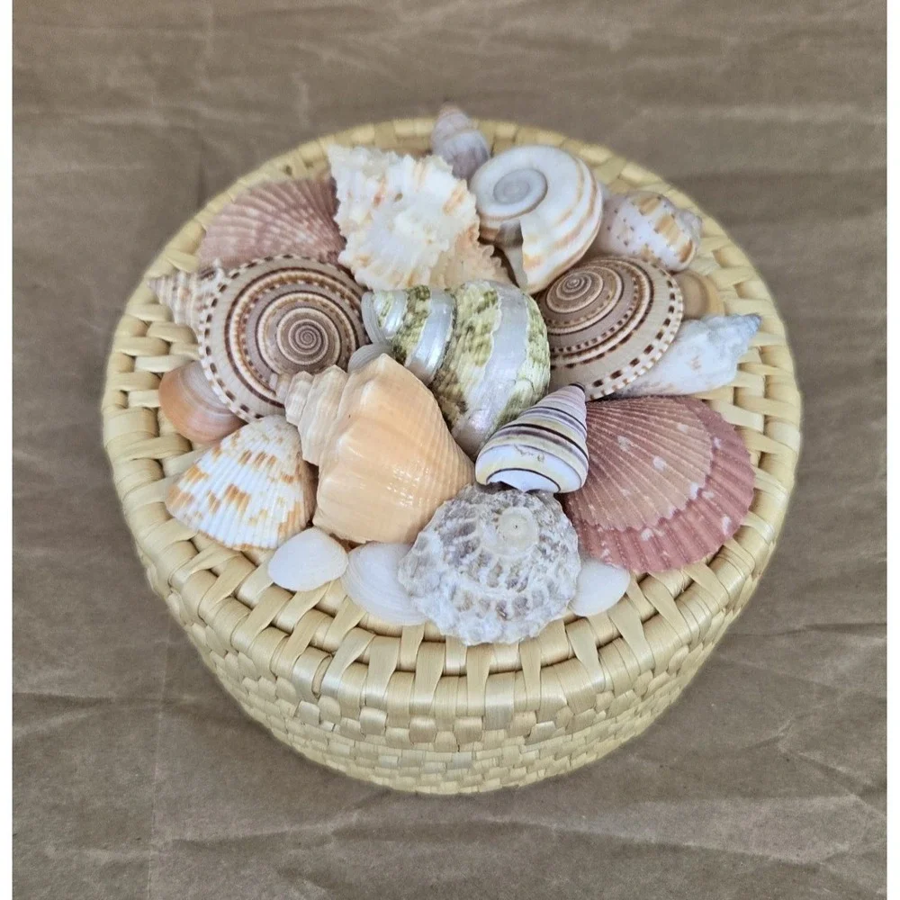 Woven Coasters  (6)‎ w/ Matching Decorative Basket Colorful Shells Beach Coastal